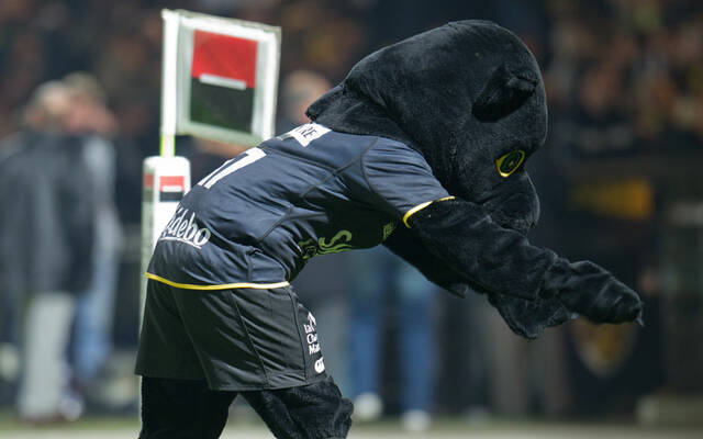 La Rochelle - Oyonnax : toutes les infos ! 