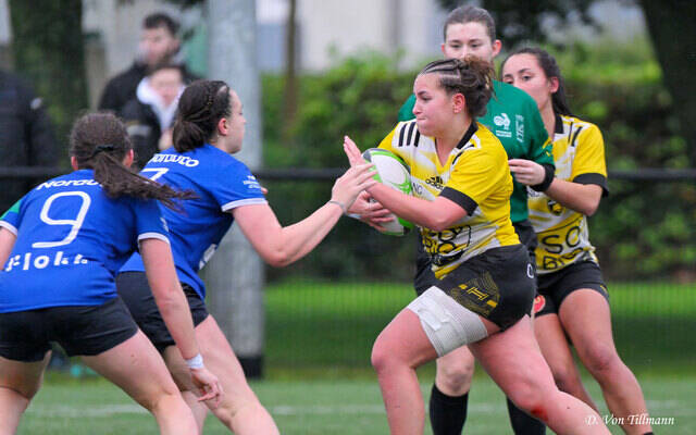 Le programme du week-end !