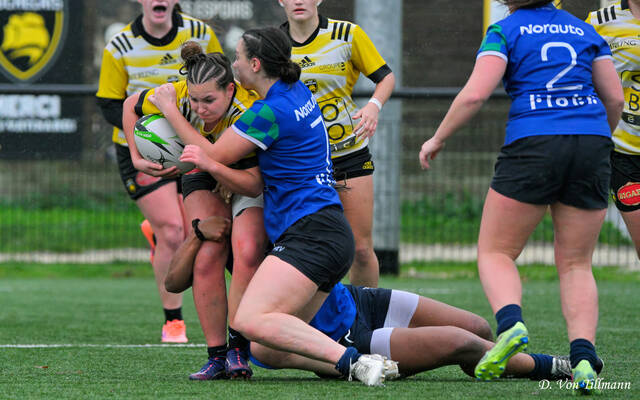 Le programme du week-end !