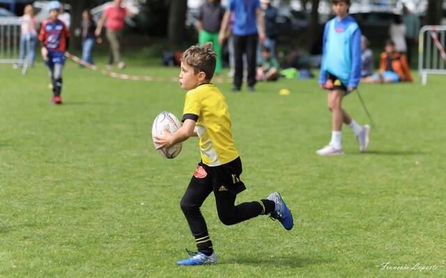 Où suivre les résultats du Tournoi Serge Palito ?