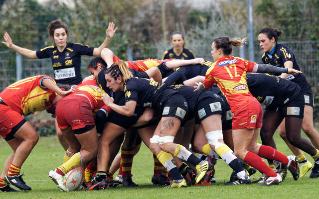 POC'ettes : la poule et le calendrier 2017/2018