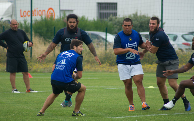 Reprise de l'entraînement 