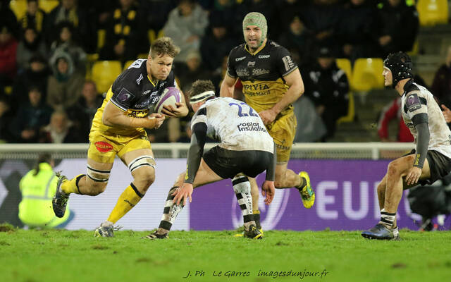 Stade Rochelais / Zebre : la compo ! 