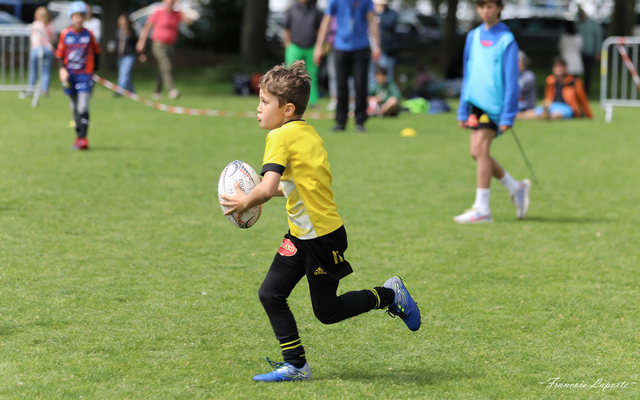 Tournoi Serge Palito, tous les résultats !