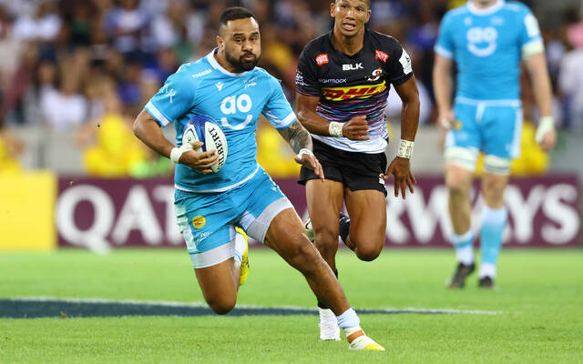 Tout savoir sur les Sharks !
