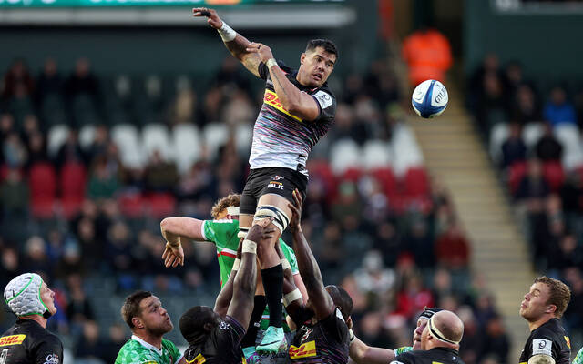 Tout savoir sur les Stormers ! 