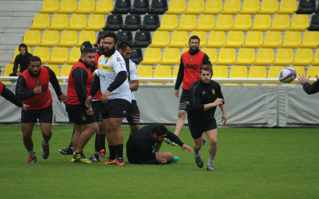 Trévise - Stade Rochelais : le groupe ! 