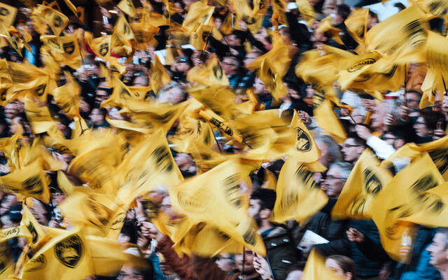 Vivez votre samedi en Jaune et Noir ! 