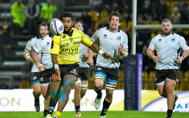 Zèbre / La Rochelle : Le groupe ! 