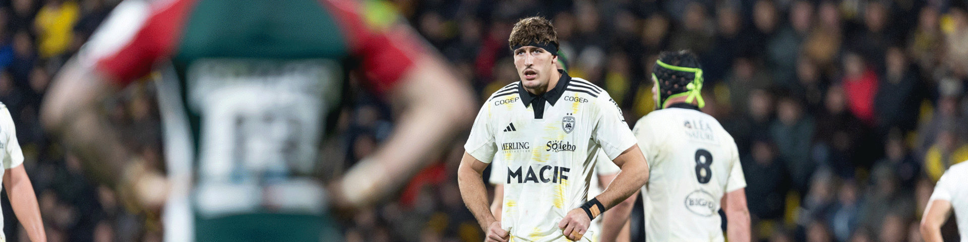 Au Leinster, un immense défi devenu quotidien