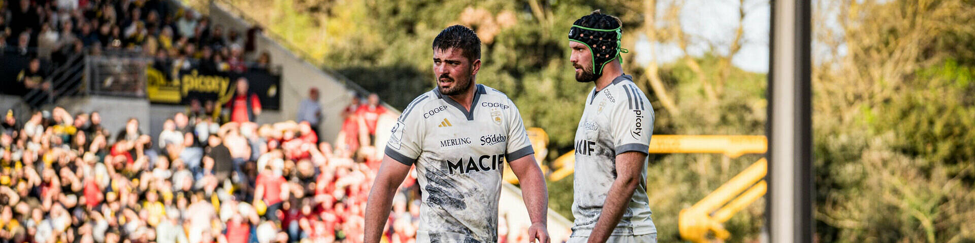 En Investec Champions Cup, notre poule est connue ! 