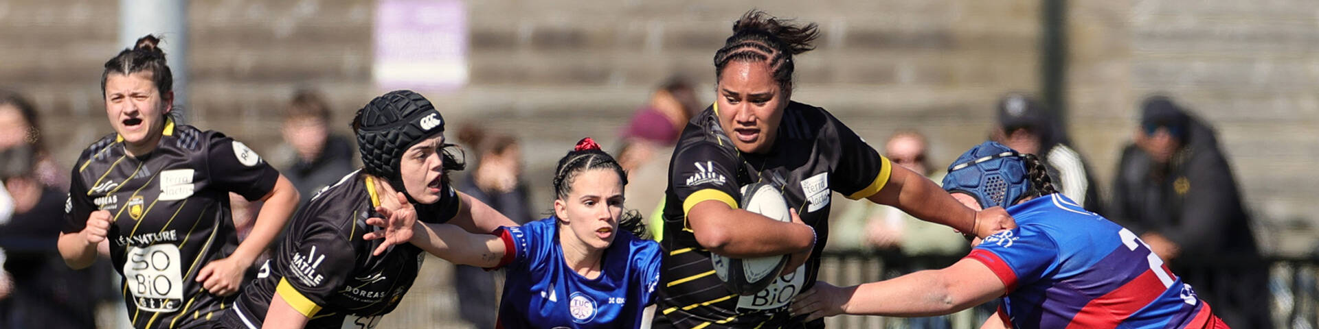 Le programme du week-end !