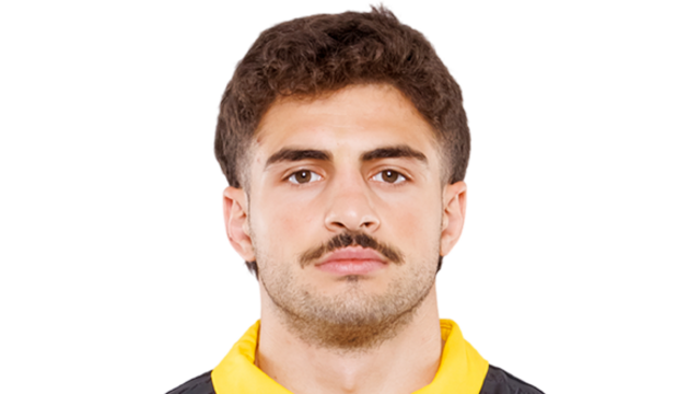 NINIASHVILI Davit