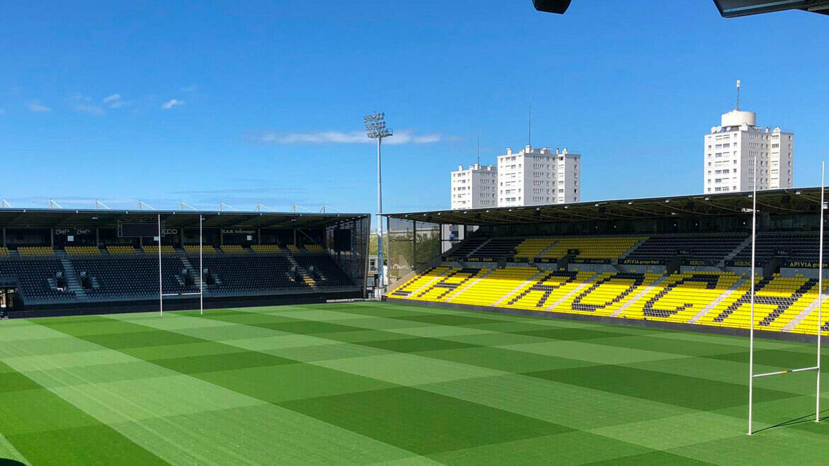 Des nouvelles de la pelouse de Deflandre ! 