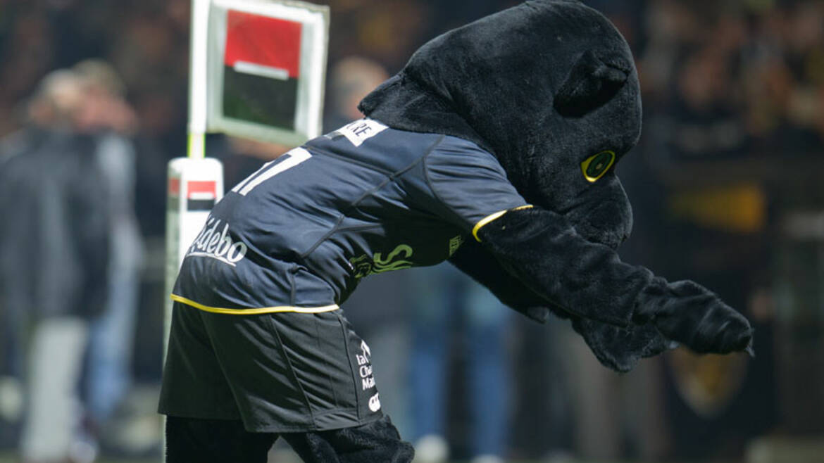 La Rochelle - Oyonnax : toutes les infos ! 
