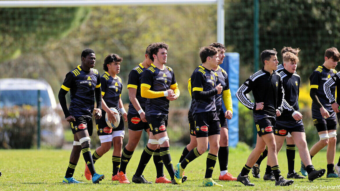 Le Stade Rochelais recherche des familles d'accueil pour ses jeunes joueurs et joueuses