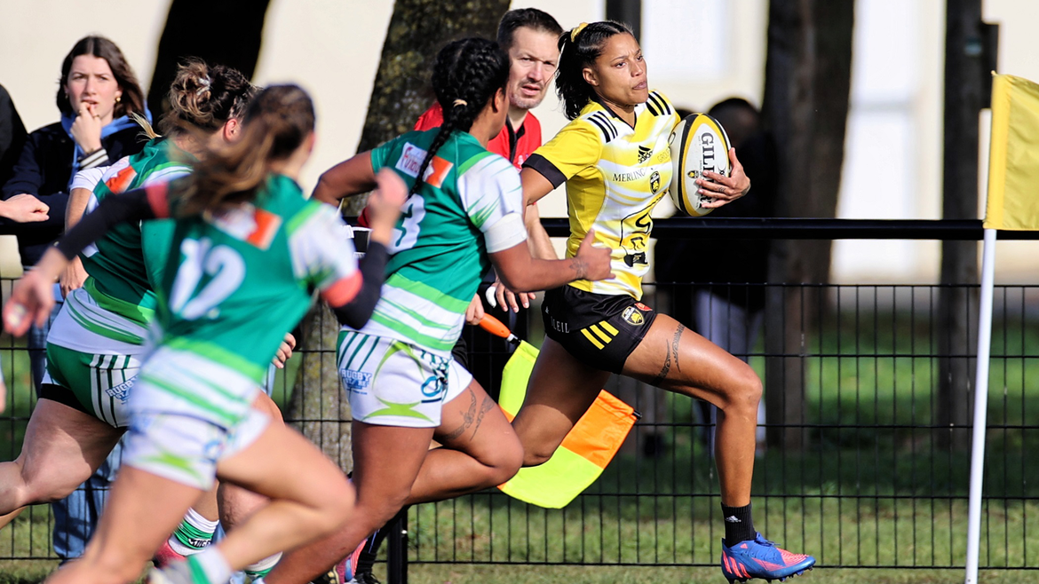 Les perf' de novembre !