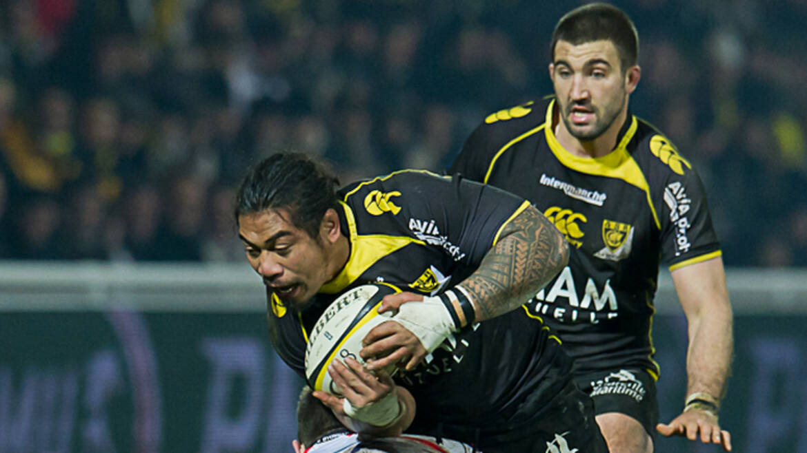 Maison Acco sur les maillots