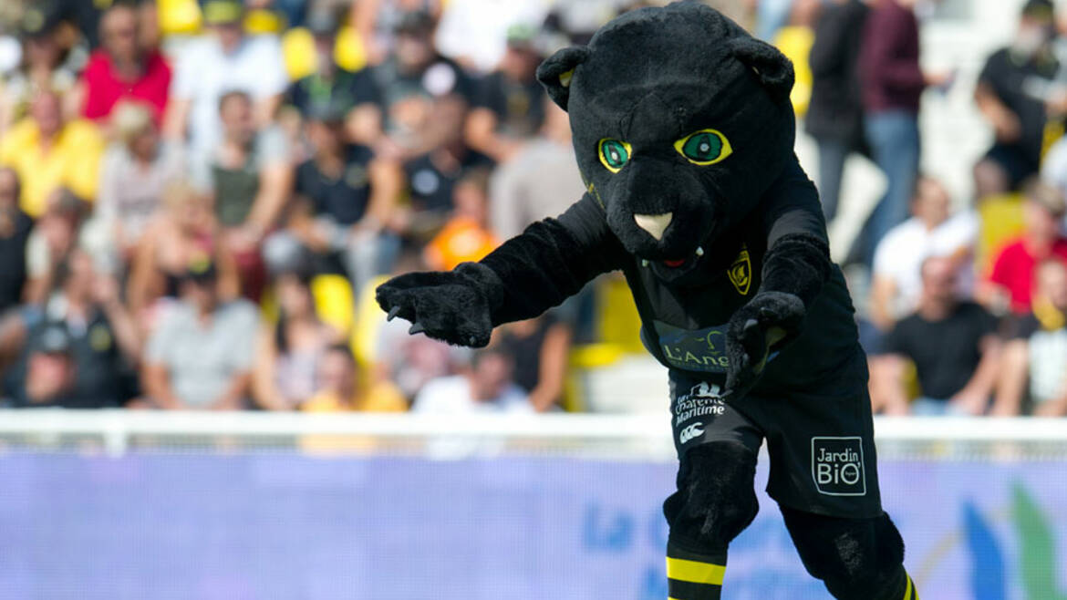 Nouveaux abonnements mis en ligne ! 