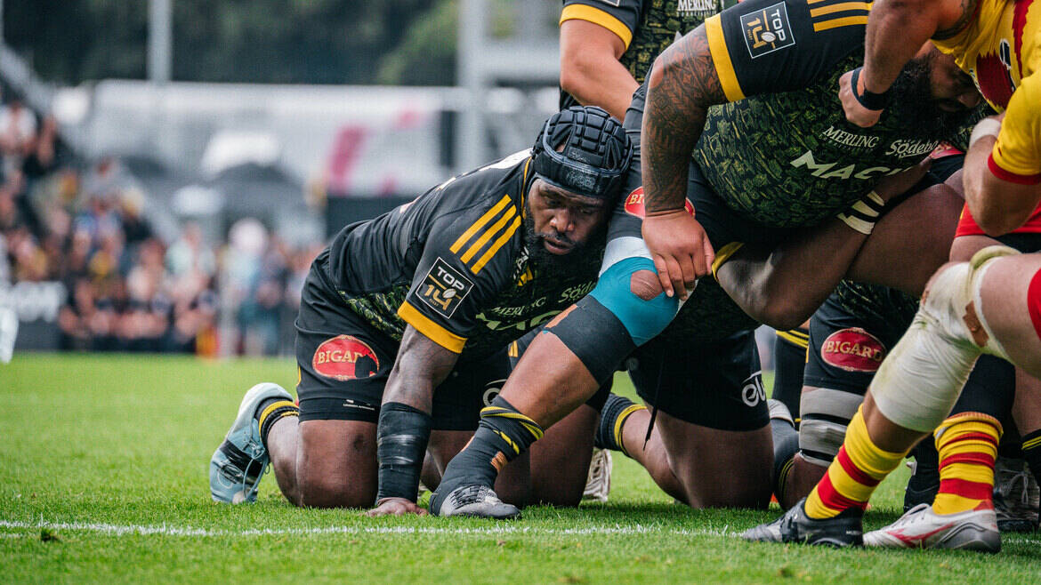 Saison 2025/2026 : le Stade Rochelais fait le point sur son effectif