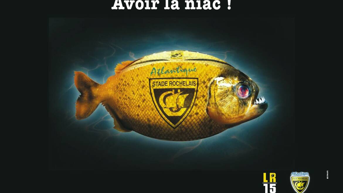Stade Rochelais & Symaps Atlantique, déjà 15 ans d'histoire commune ! 