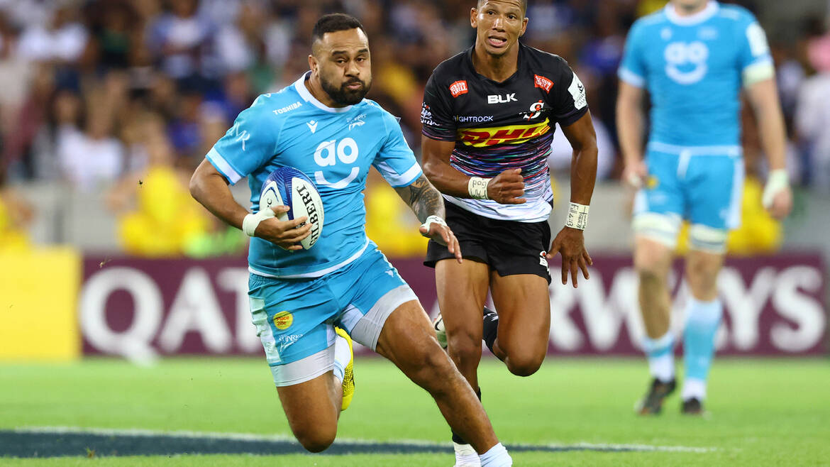 Tout savoir sur les Sharks !
