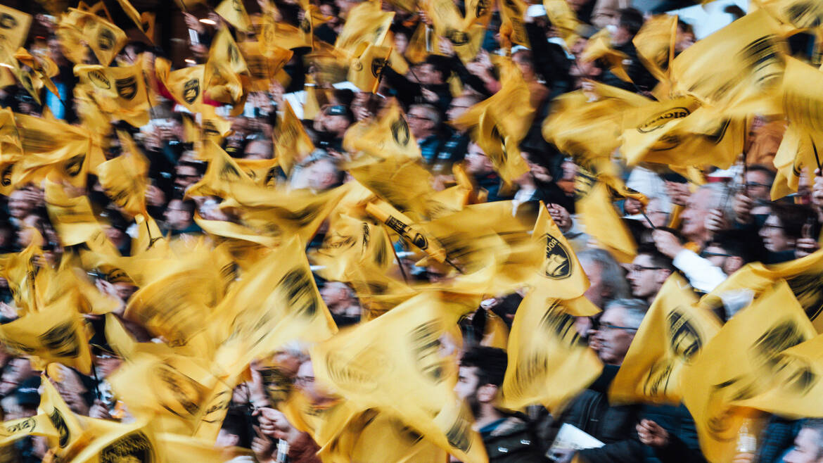 Vivez votre samedi en Jaune et Noir ! 