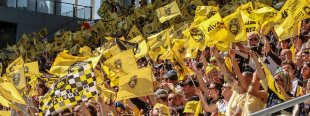 Comment vivre et partager la finale de Champions Cup !
