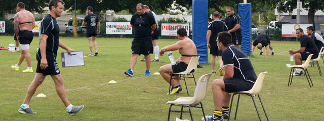Ils sont de retour !
