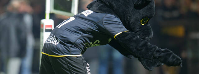 La Rochelle - Oyonnax : toutes les infos ! 