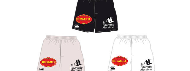 Le groupe BIGARD devient Partenaire Officiel du Club pour la Saison 2014-2015