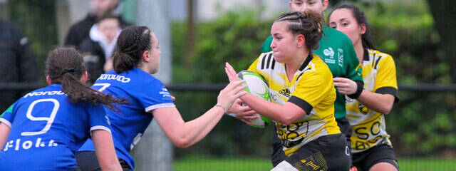 Le programme du week-end !