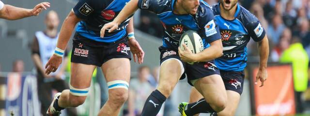 Recrutement de Pierre Bérard !