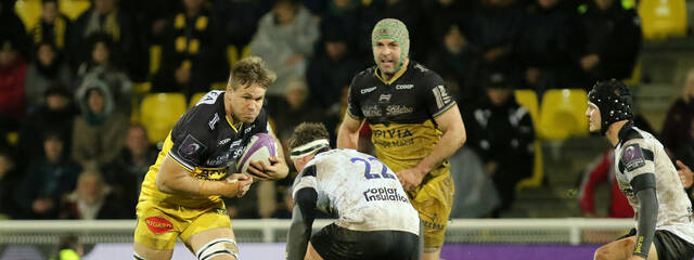 Stade Rochelais / Zebre : the team !