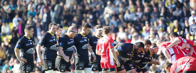 Statistiques avant Brive/La Rochelle
