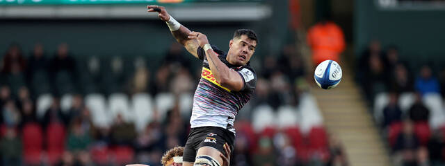 Tout savoir sur les Stormers !