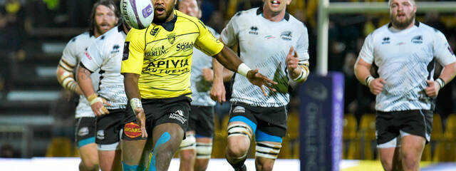 Zèbre / La Rochelle : Le groupe ! 