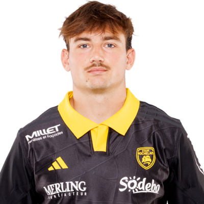 BOLLENGIER